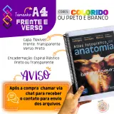 Impressão A4  Frente e Verso Preto e Branco 75g 3